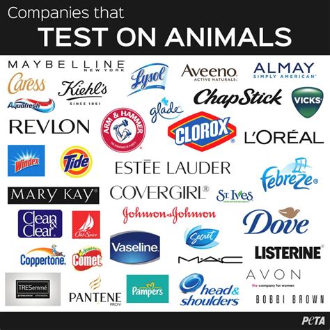 does prada test on animals|prada animal testing products.